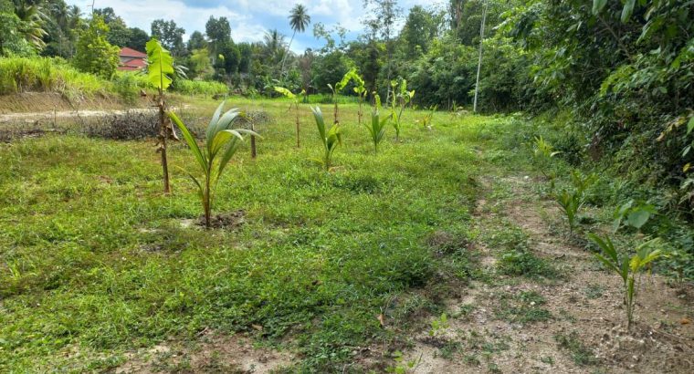 Land sale at Gampaha