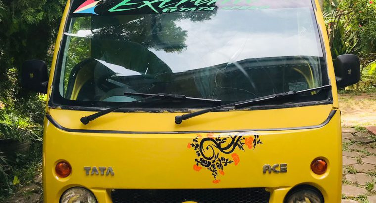 Tata Dimo Batta 2011 Lorry