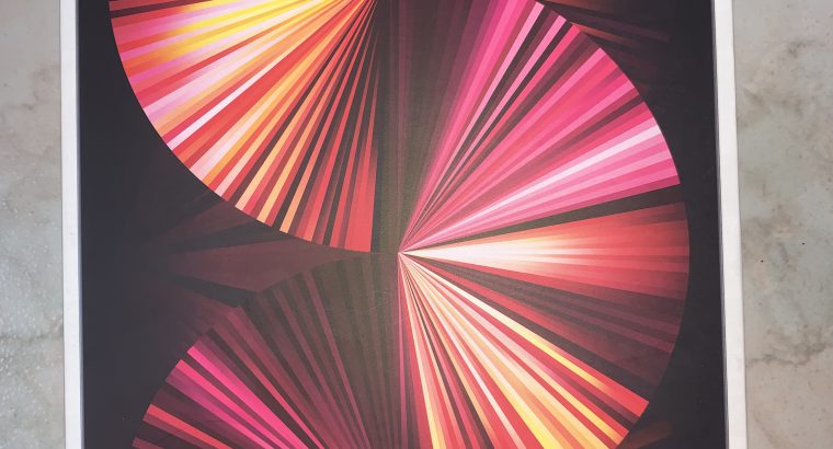 iPad pro M1(3rd Generation)