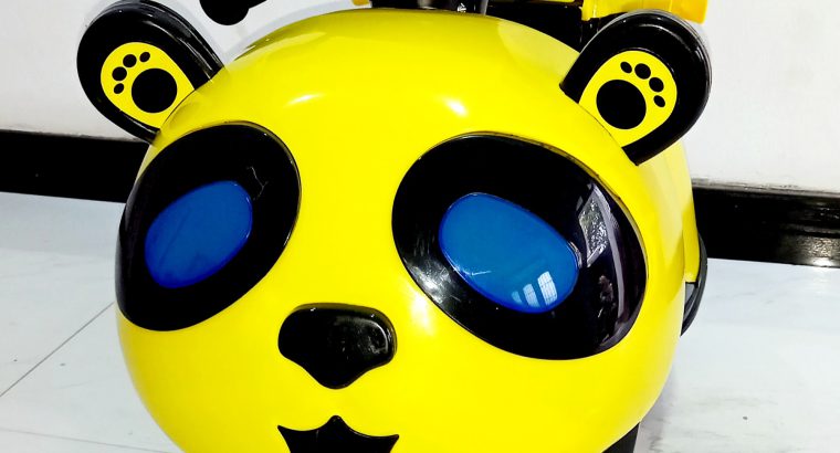 Baby Riding Motorbike