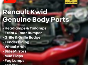 Renault Kwid Genuine Body Parts
