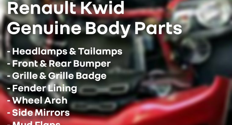 Renault Kwid Genuine Body Parts