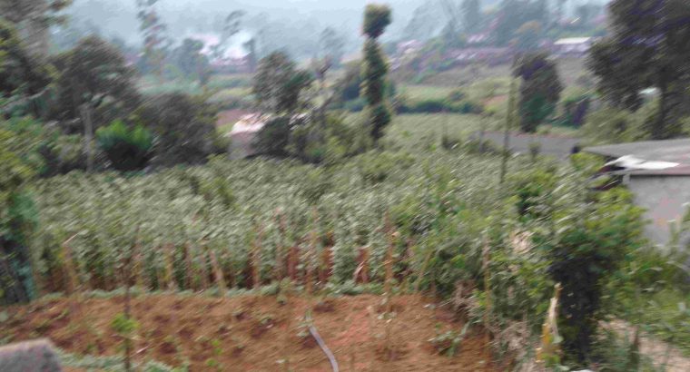 land in bandarawela