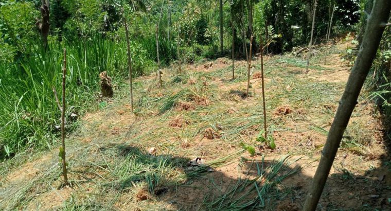 Land for sale in Kadugannwa /Gampola road