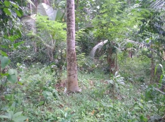 valuable land in kegalle