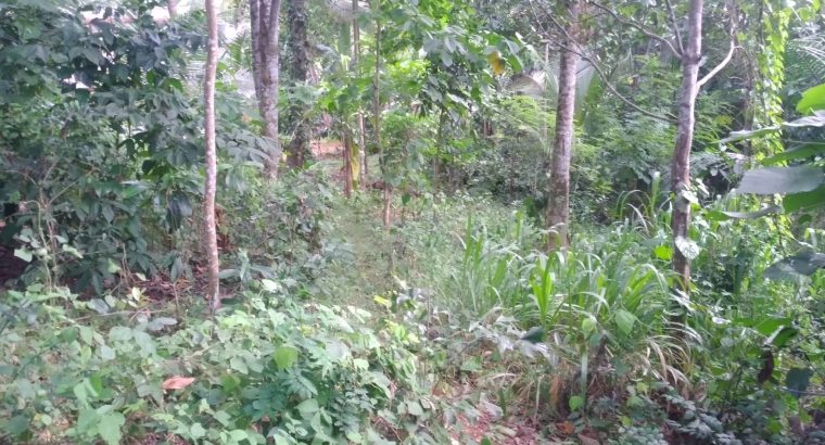 valuable land in kegalle