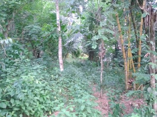 valuable land in kegalle