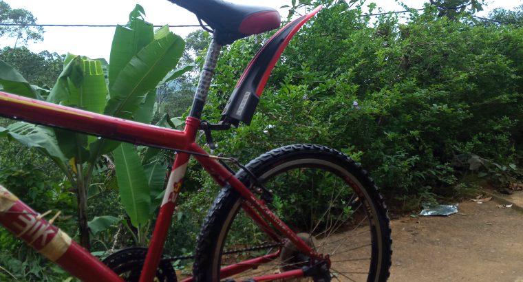 DSI mountain bicycle 24