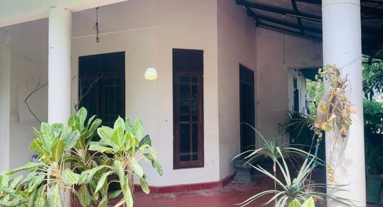 House With Land Sale In Polonnaruwa