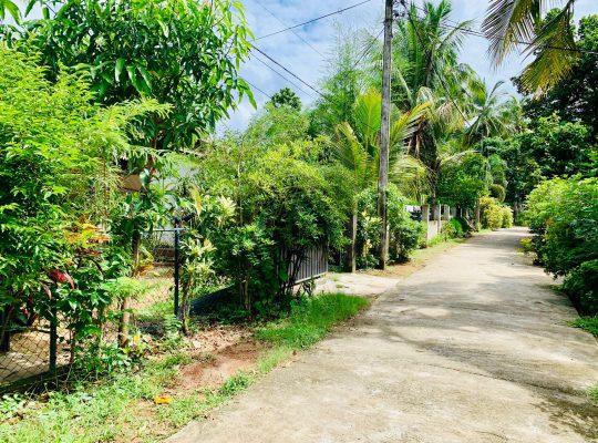 House With Land Sale In Polonnaruwa