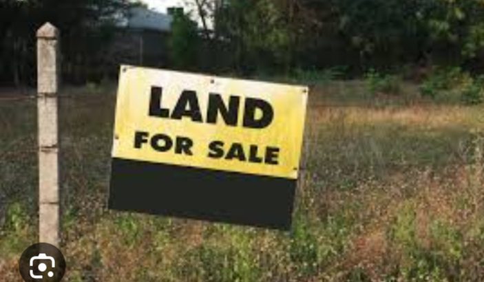 Land for sell in arachchikattuwa 20 p