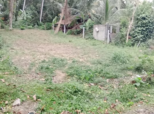 Land for sale in Homagama