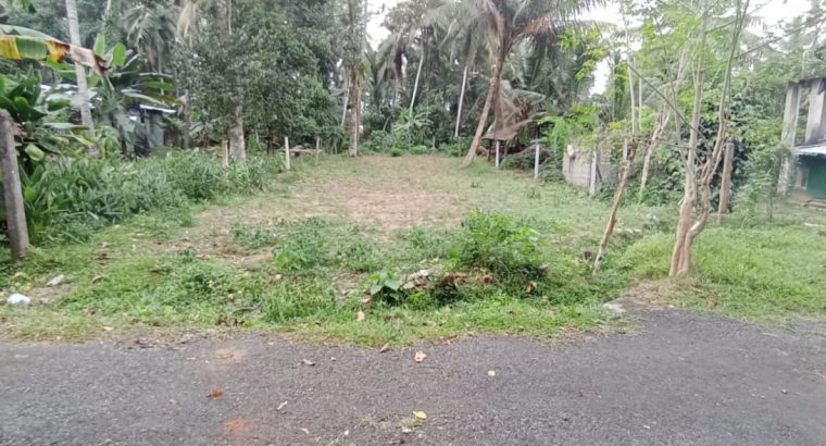 Land for sale in Homagama