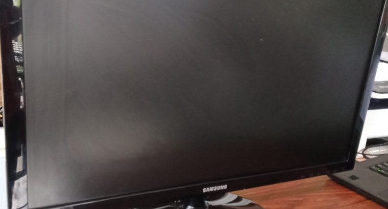 24′ LED HDMI Monitor