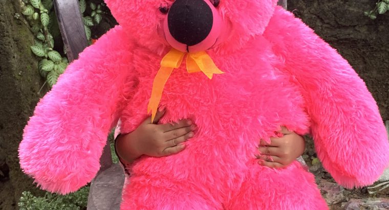 3 feet high quality Teddy bear