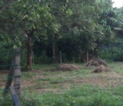 Land for sale in ja ela – maeliya