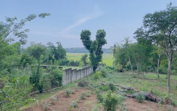 1.8 Acre Land sale in Tangalle