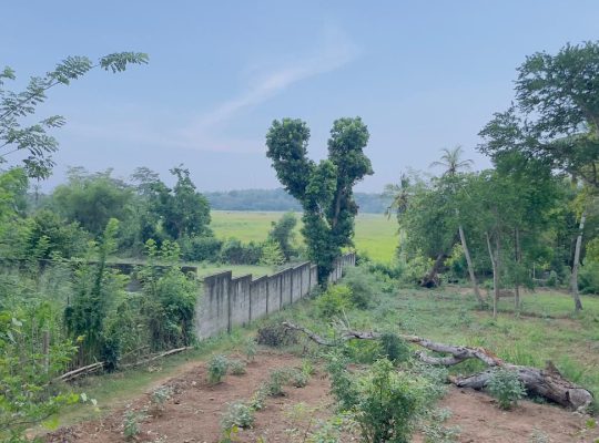 1.8 Acre Land sale in Tangalle