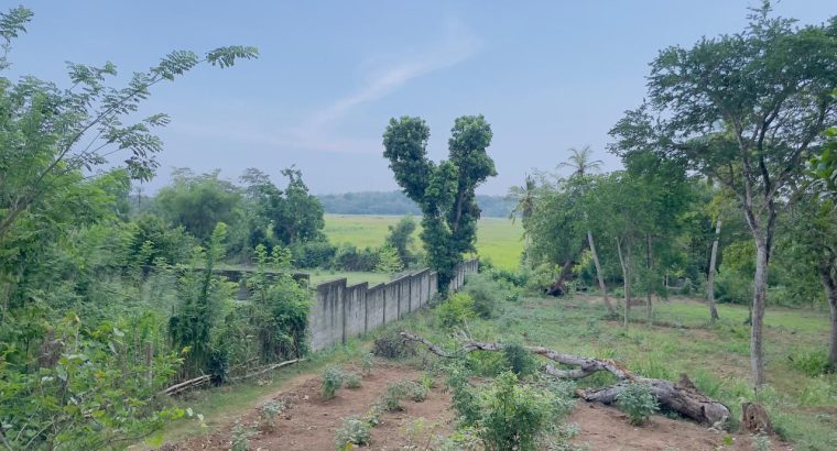 1.8 Acre Land sale in Tangalle