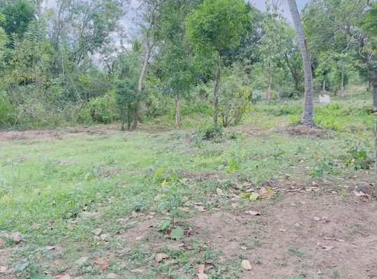 1.8 Acre Land sale in Tangalle