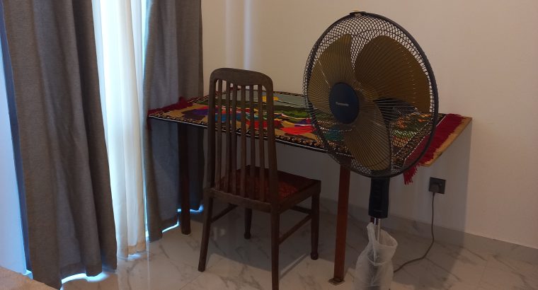 Room rent in piliyandala only girls