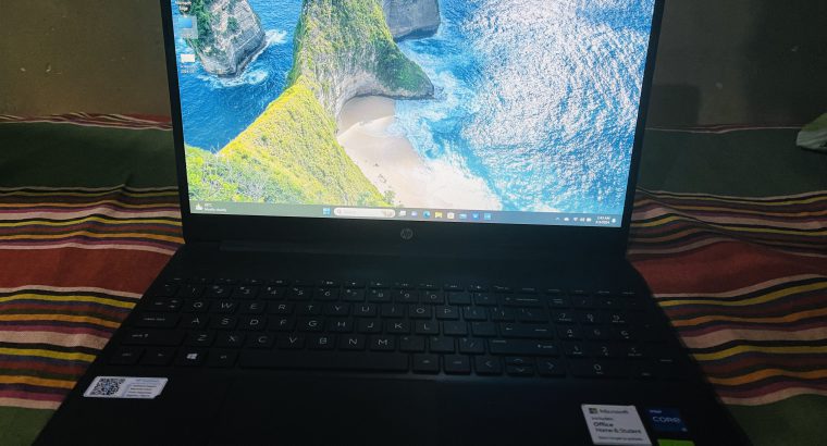 HP – 11th Gen i5-1135G7 Laptop