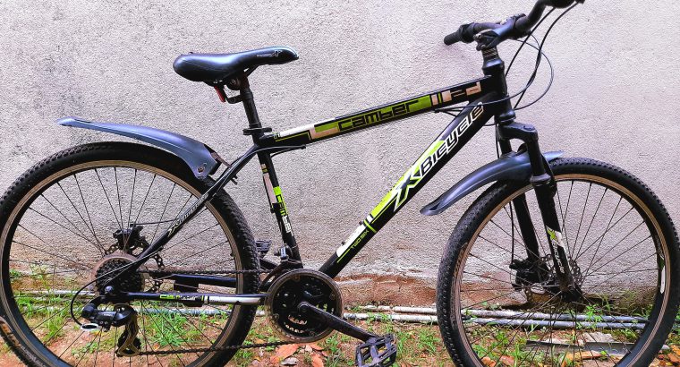 Lumala X-Bicycle Camber 26″