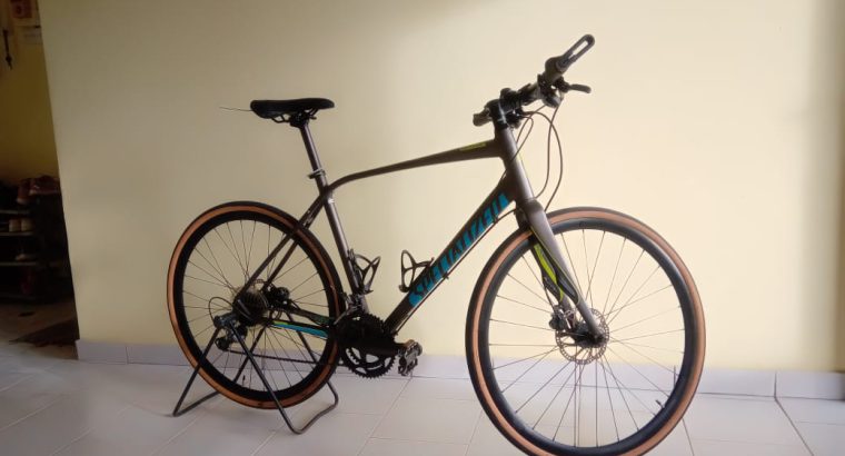 Specialized Sirrus Comp Disk fitness bicycle frame