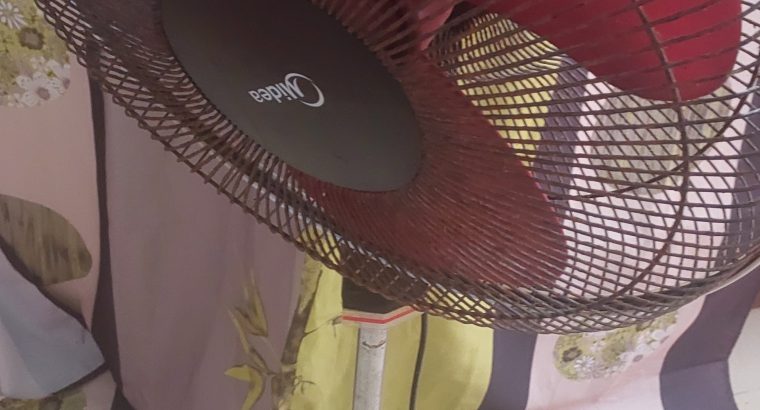 Stand Fan