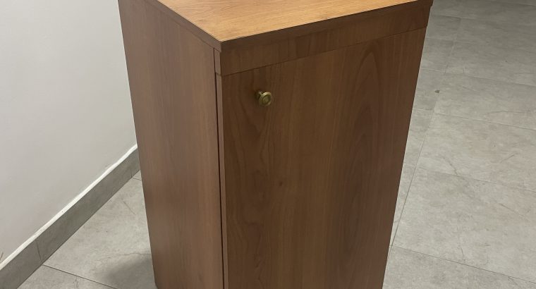 Ironing board with Cupboard