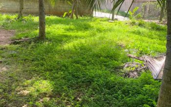 Land for sale near Loyola college Negombo