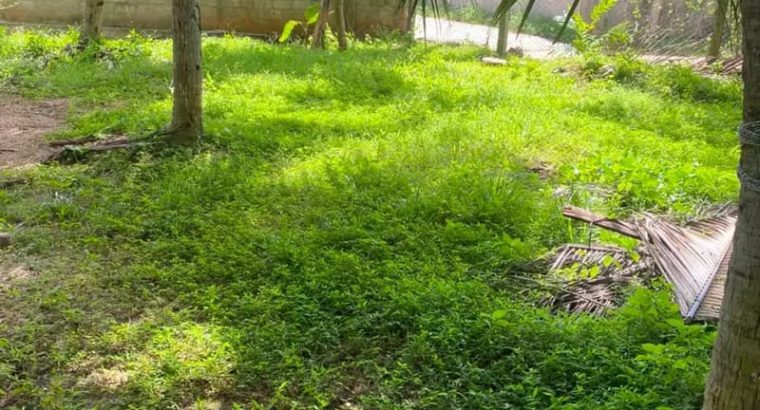 Land for sale near Loyola college Negombo