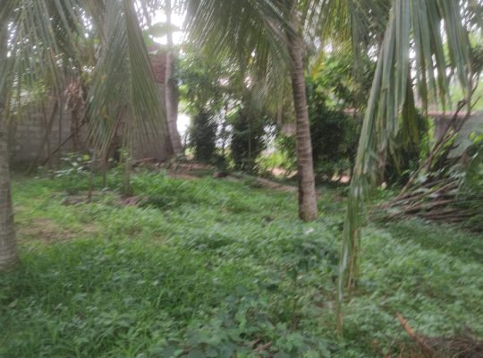 Land for sale near Loyola college Negombo