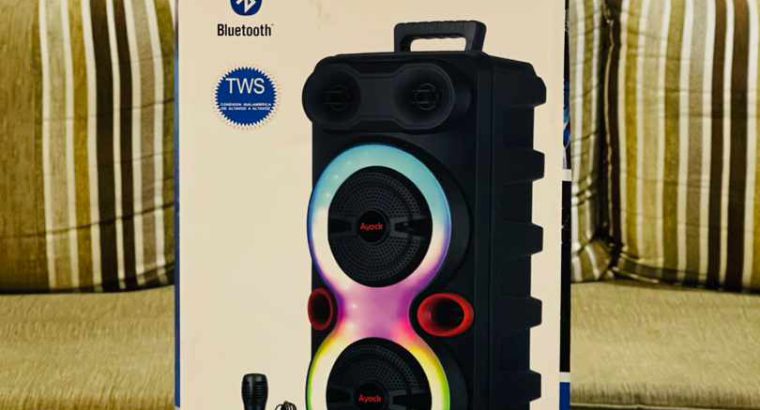Ayock 8*2 Trolley SB -20801 Speaker