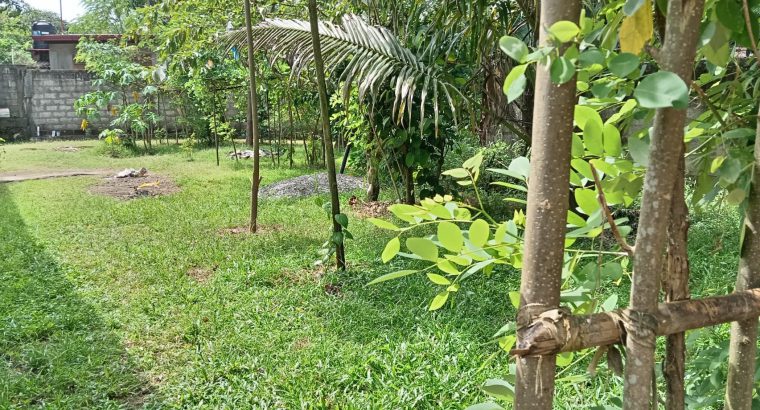 Land for Sale panagoda