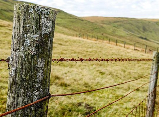 Barbed wire