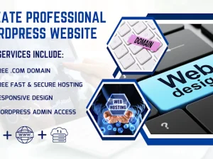 Professional Web Design Services