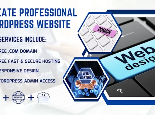 Professional Web Design Services