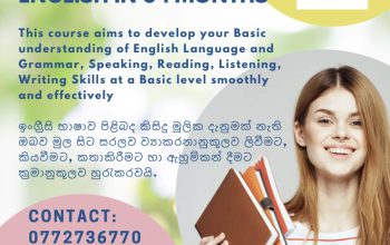 Individuals English Classes Online English Basics