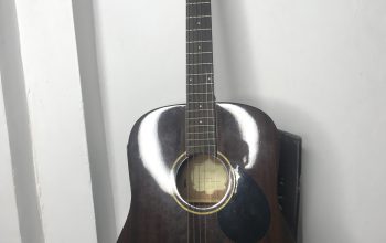 Gereg Benett D-1 N Acoustic Guitar with Case