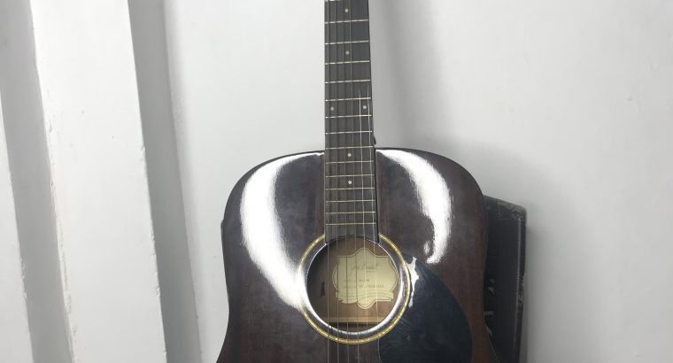 Gereg Benett D-1 N Acoustic Guitar with Case