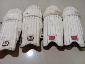 Cricket pads