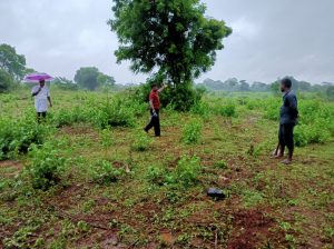 valuable land in Saliyapura