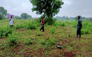 valuable land in Saliyapura