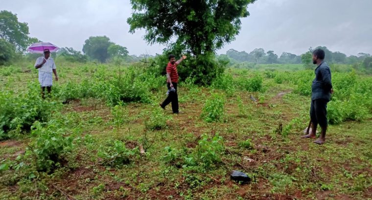 valuable land in Saliyapura