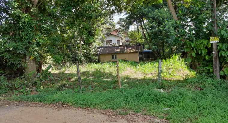 හෝමාගම නගරය නුදුරින් වටිනා ඉඩමක් විකිනීමට