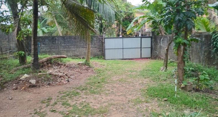 6 perched golden land at piliyandala