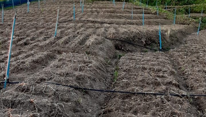 🔥 PRIME 15-ACRE LAND FOR SALE IN BORALANDA – PERF