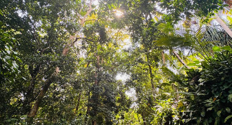 Land For Sale In Galle – Imaduwa With Sea View