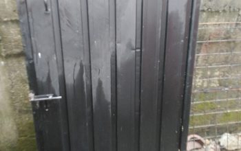 Used Iron Doors + Ironing Board + Iron Drill for S